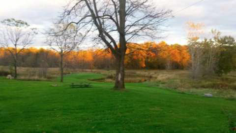 10351 Colby Lake Road Perry, MI 48872 - Photo 2 of 30 20453204-1.JPG