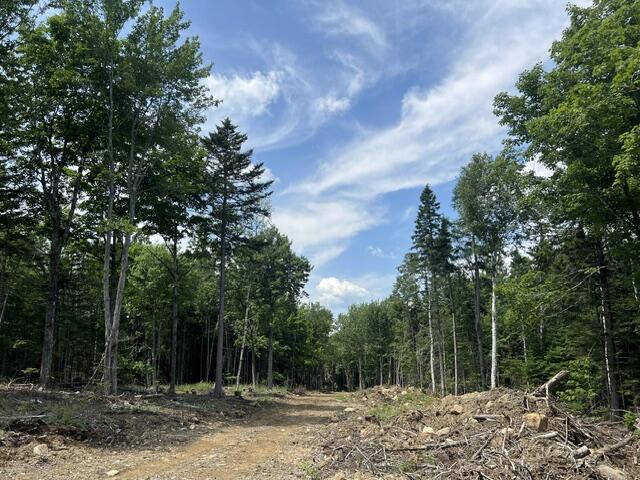 M12-41-123 Taylor Farm Road Rangeley, ME 04970 - Photo 5 of 14 Partially Cleared
