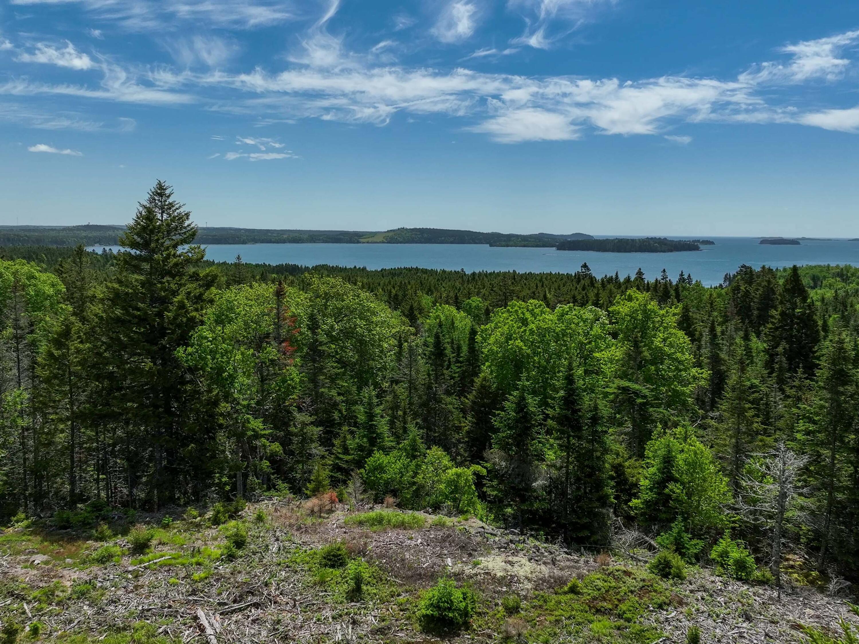 M2-l6-3e Nepp Point Road Roque Bluffs, ME 04654 - Photo 8 of 29 Nepp Point