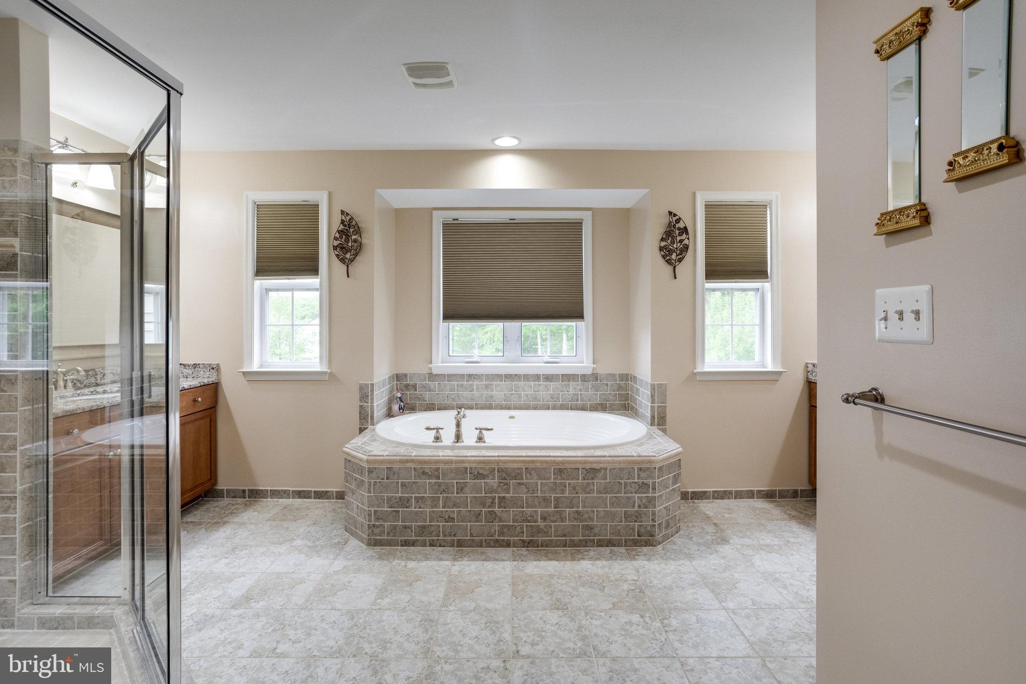 13195 Delaney Road Woodbridge, VA 22193 - Photo 46 of 88 Primary bath w/ soaking tub