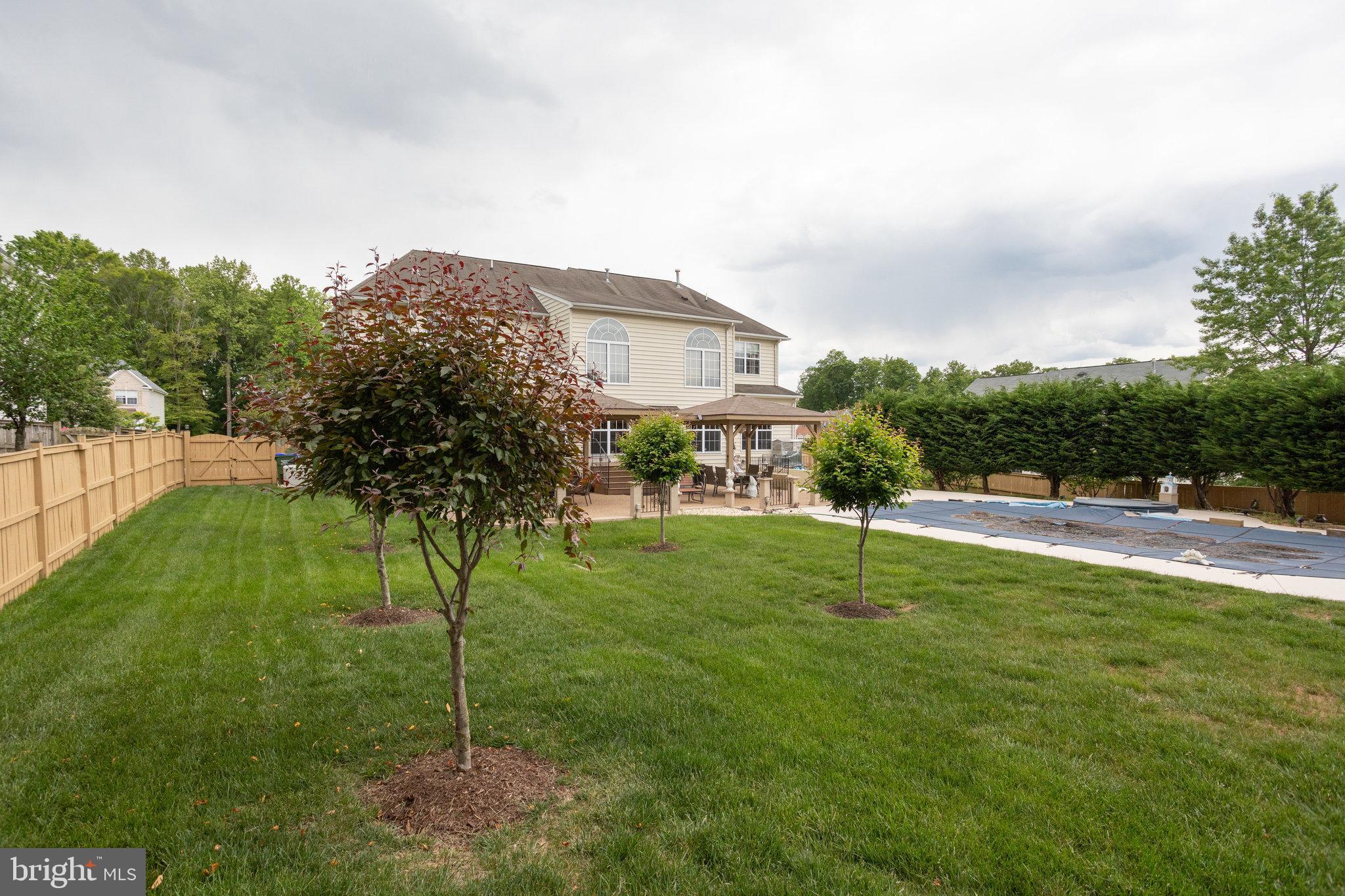 13195 Delaney Road Woodbridge, VA 22193 - Photo 80 of 88 Back yard w/ beautiful trees
