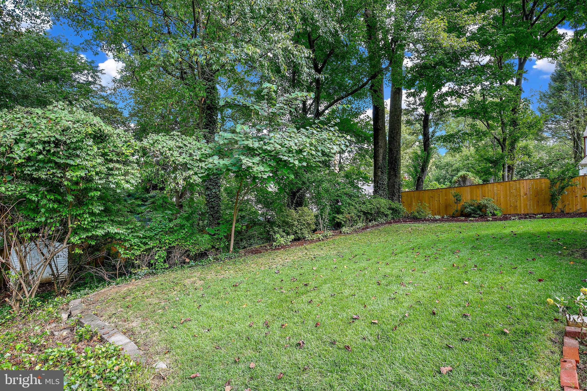 1713 White Oak Drive Silver Spring, MD 20910 - Photo 49 of 54