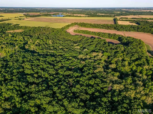 $998,450 | 0 Emron Farm Road, High Hill, MO 63350