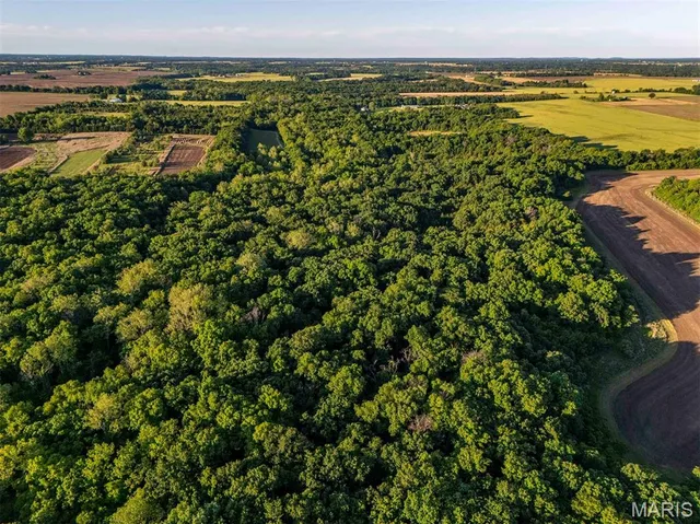 $998,450 | 0 Emron Farm Road, High Hill, MO 63350