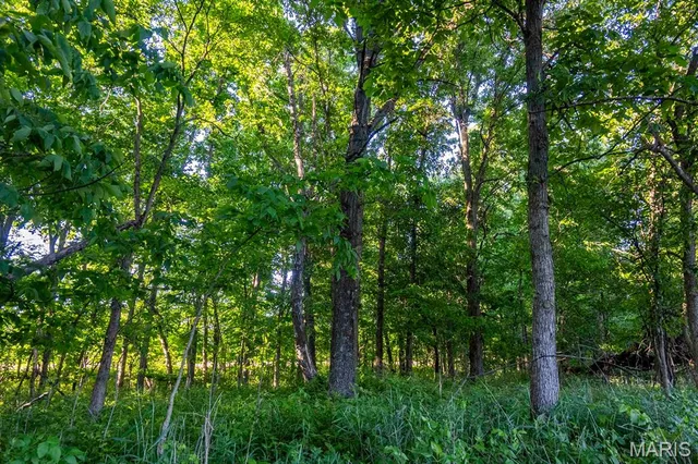 $998,450 | 0 Emron Farm Road, High Hill, MO 63350