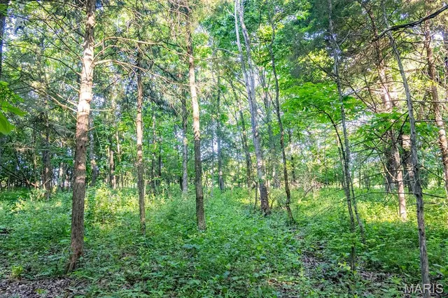 $998,450 | 0 Emron Farm Road, High Hill, MO 63350