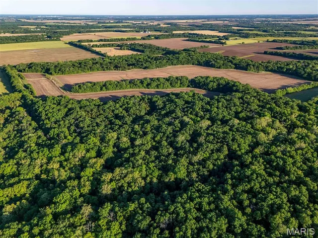 $998,450 | 0 Emron Farm Road, High Hill, MO 63350