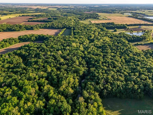 $998,450 | 0 Emron Farm Road, High Hill, MO 63350