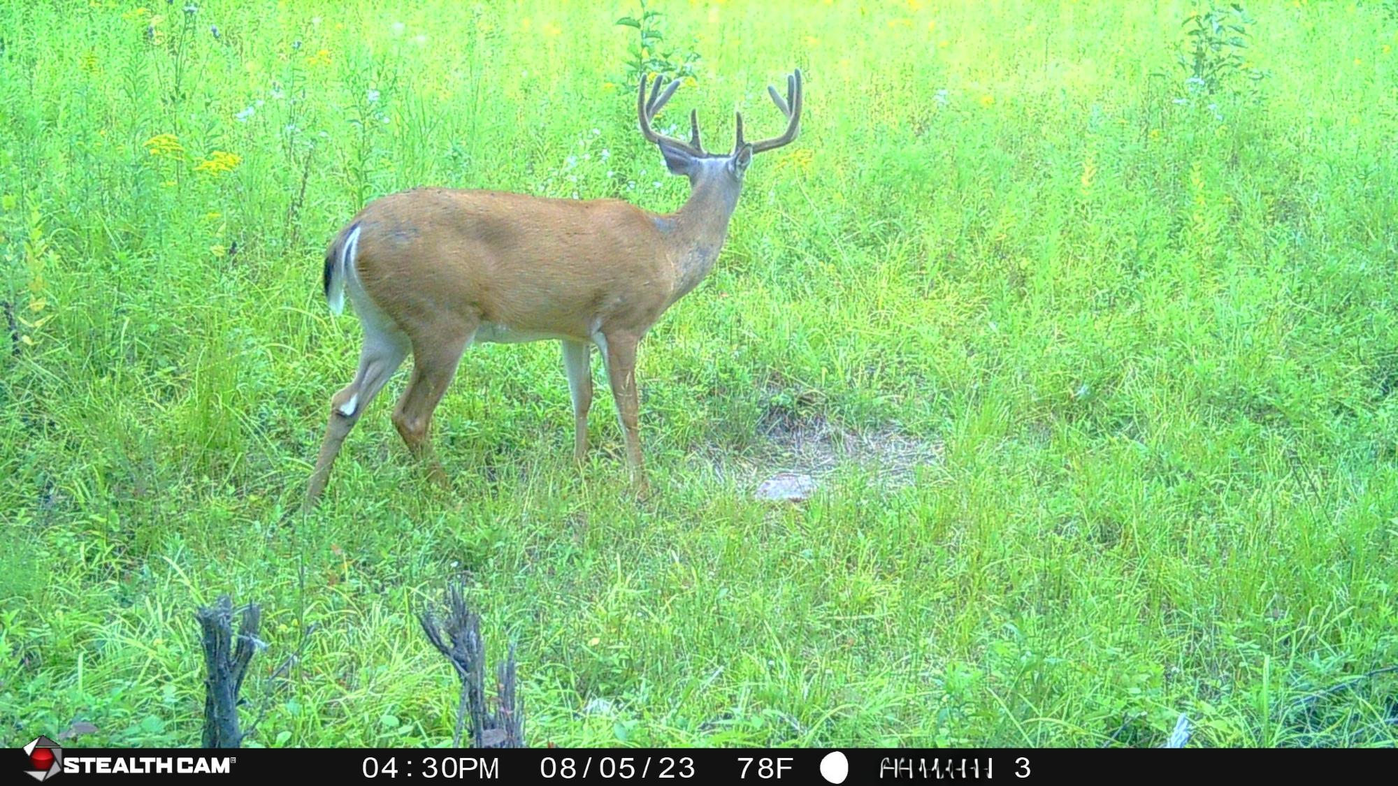 W181 Midway Road Hawkins, WI 54530 - Photo 14 of 56 Gallery Image 14