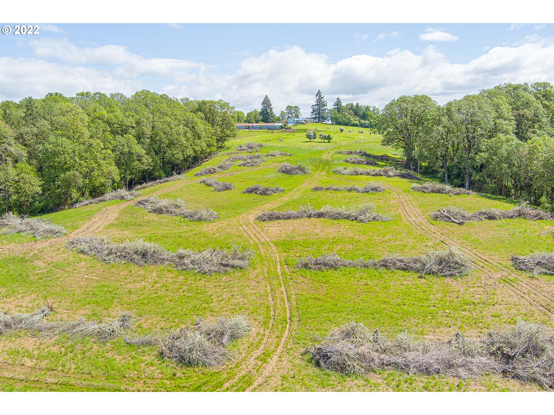 0 Northwest Meadowlake Road Carlton, OR 97111 - Photo 8 of 18 Gallery Image 8