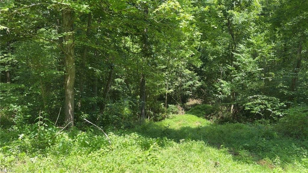 0 Point Lookout Road Stockport, OH 43787 - Photo 17 of 24 GetMedia (9)