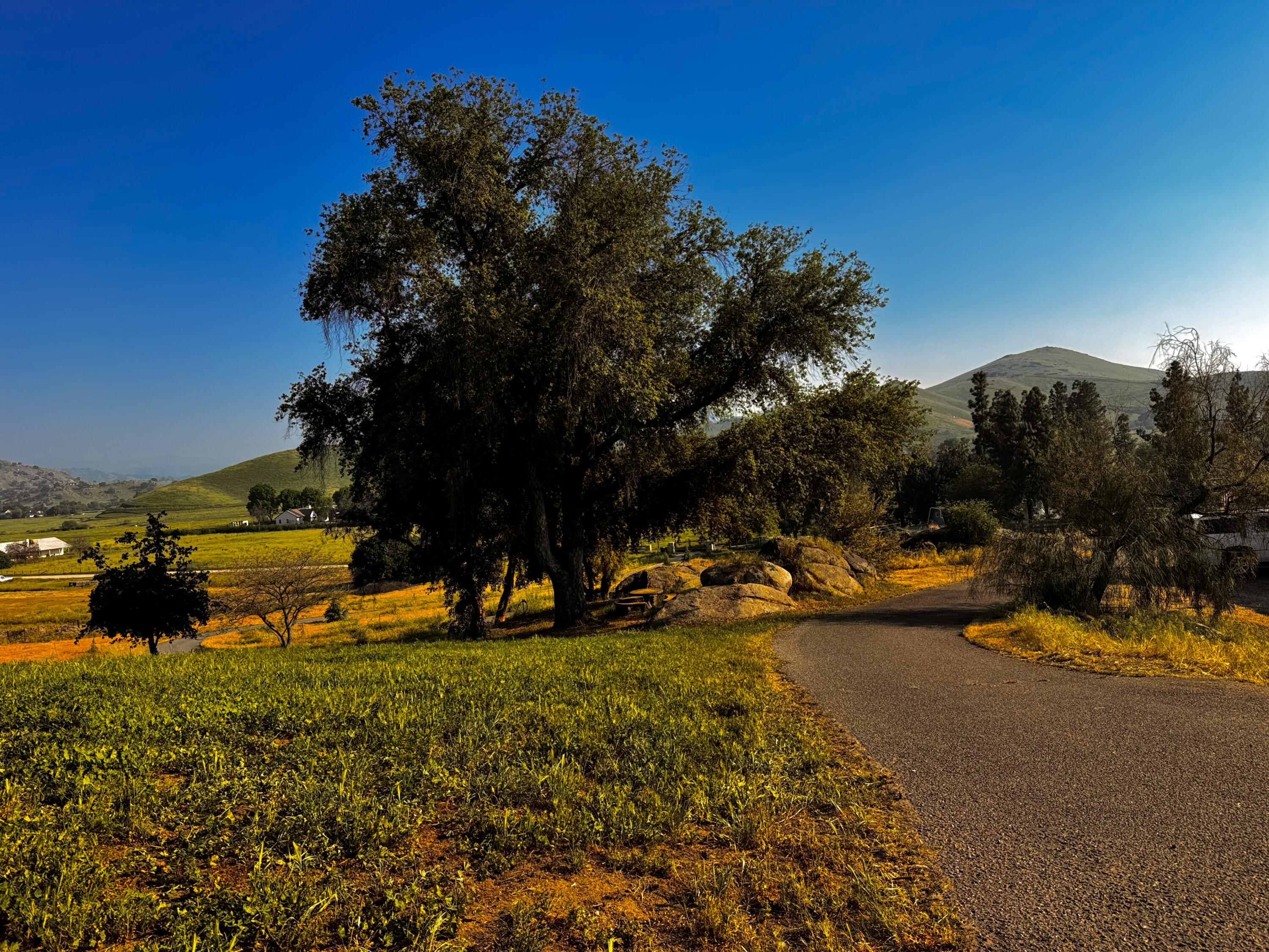 30723 Hamilton Drive Exeter, CA 93221 - Photo 79 of 85 a view of a lake with houses