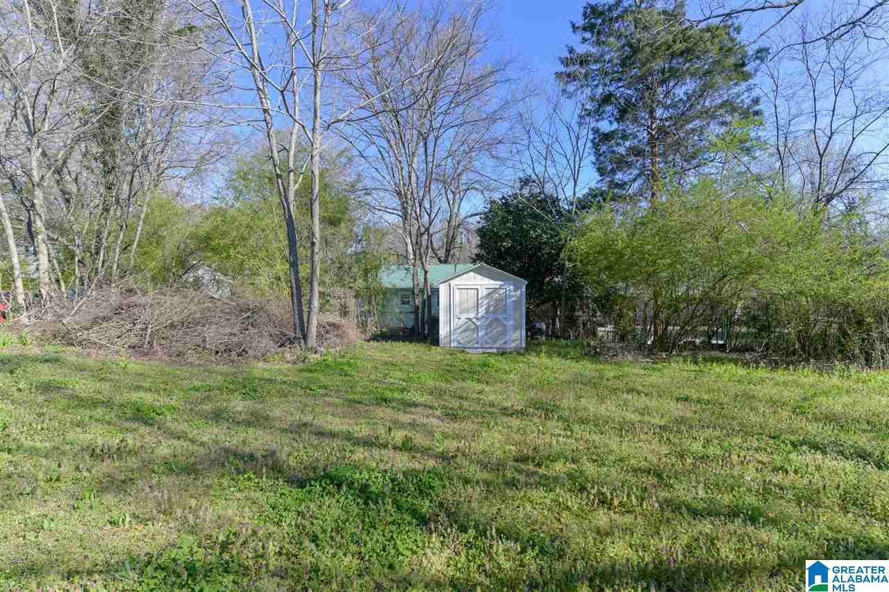 225 Pleasant Road Mount Olive, AL 35117 - Photo 46 of 47