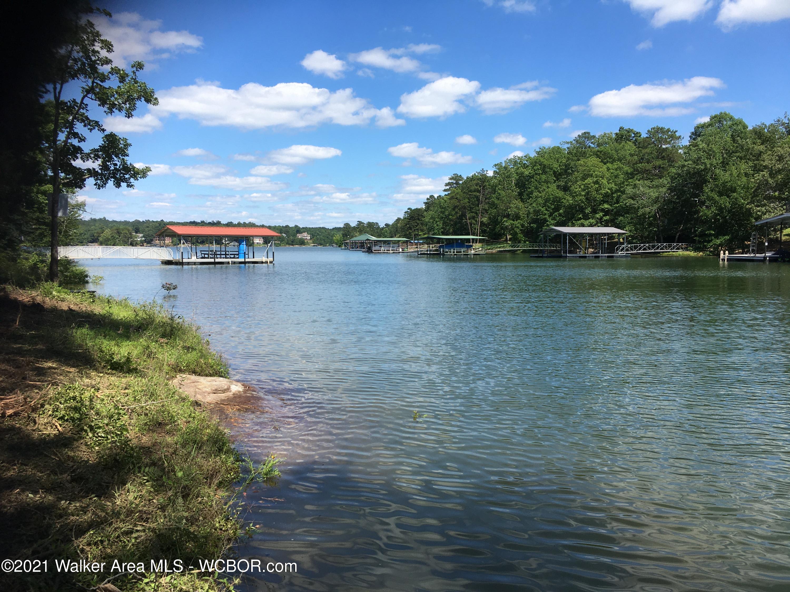 Lot 25 Stoney Point/trail Road Double Springs, AL 35553 - Photo 1 of 16 Gallery Image 1