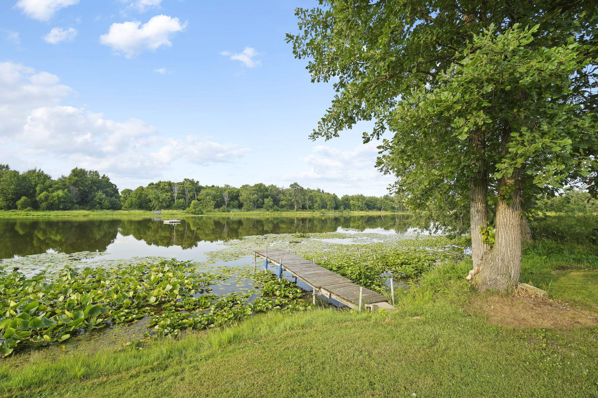 14260 Grange Road Montgomery, MI 49255 - Photo 35 of 47 35-web-or-mls-DSC09111