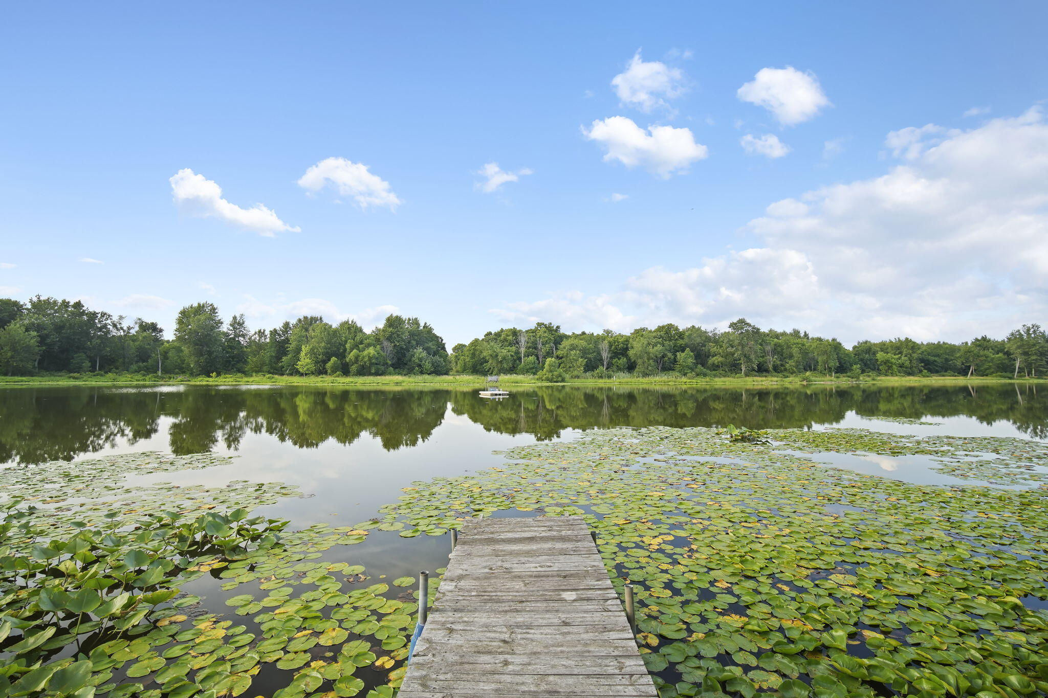 14260 Grange Road Montgomery, MI 49255 - Photo 36 of 47 36-web-or-mls-DSC09116