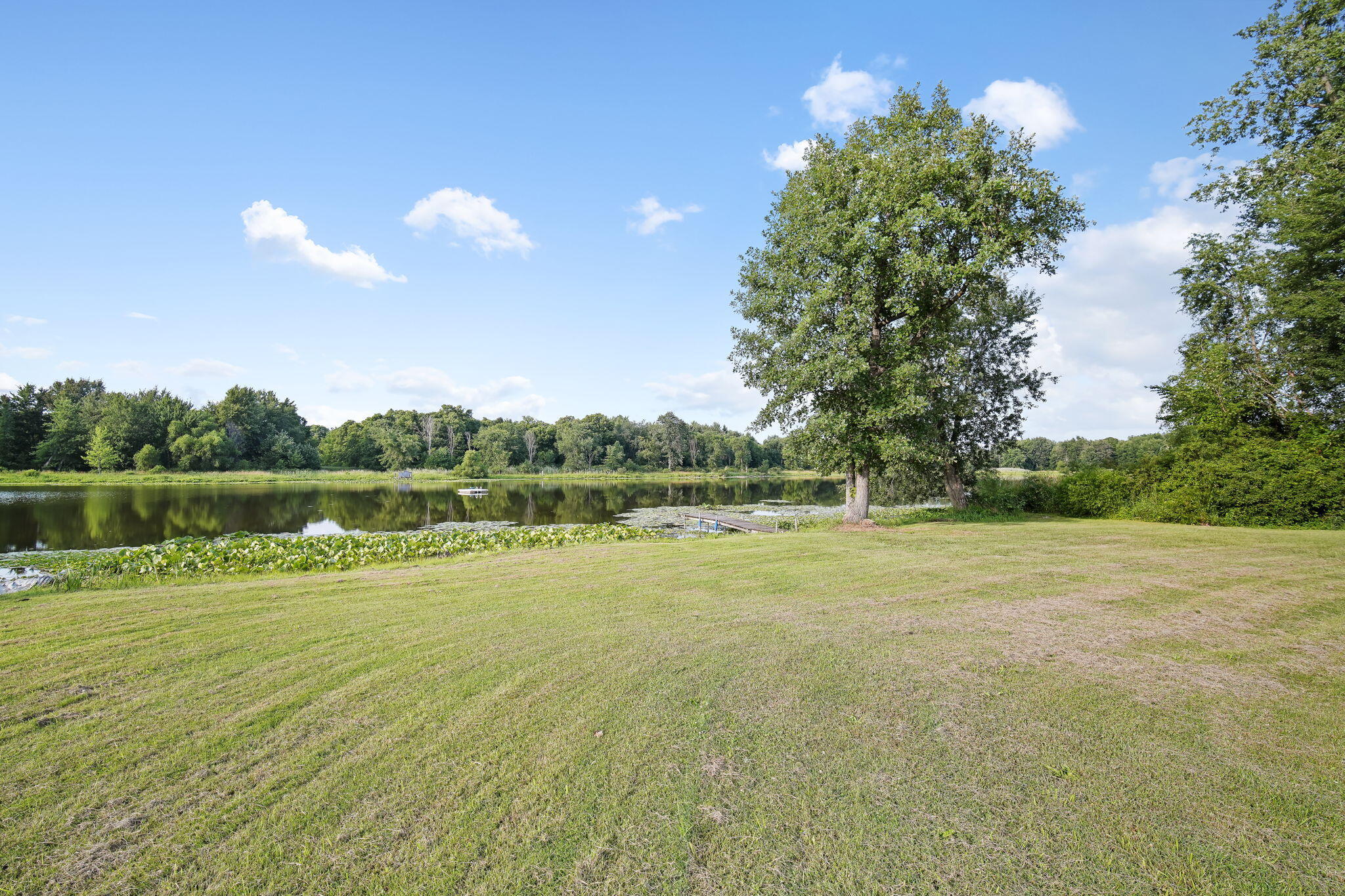 14260 Grange Road Montgomery, MI 49255 - Photo 37 of 47 34-web-or-mls-DSC09106