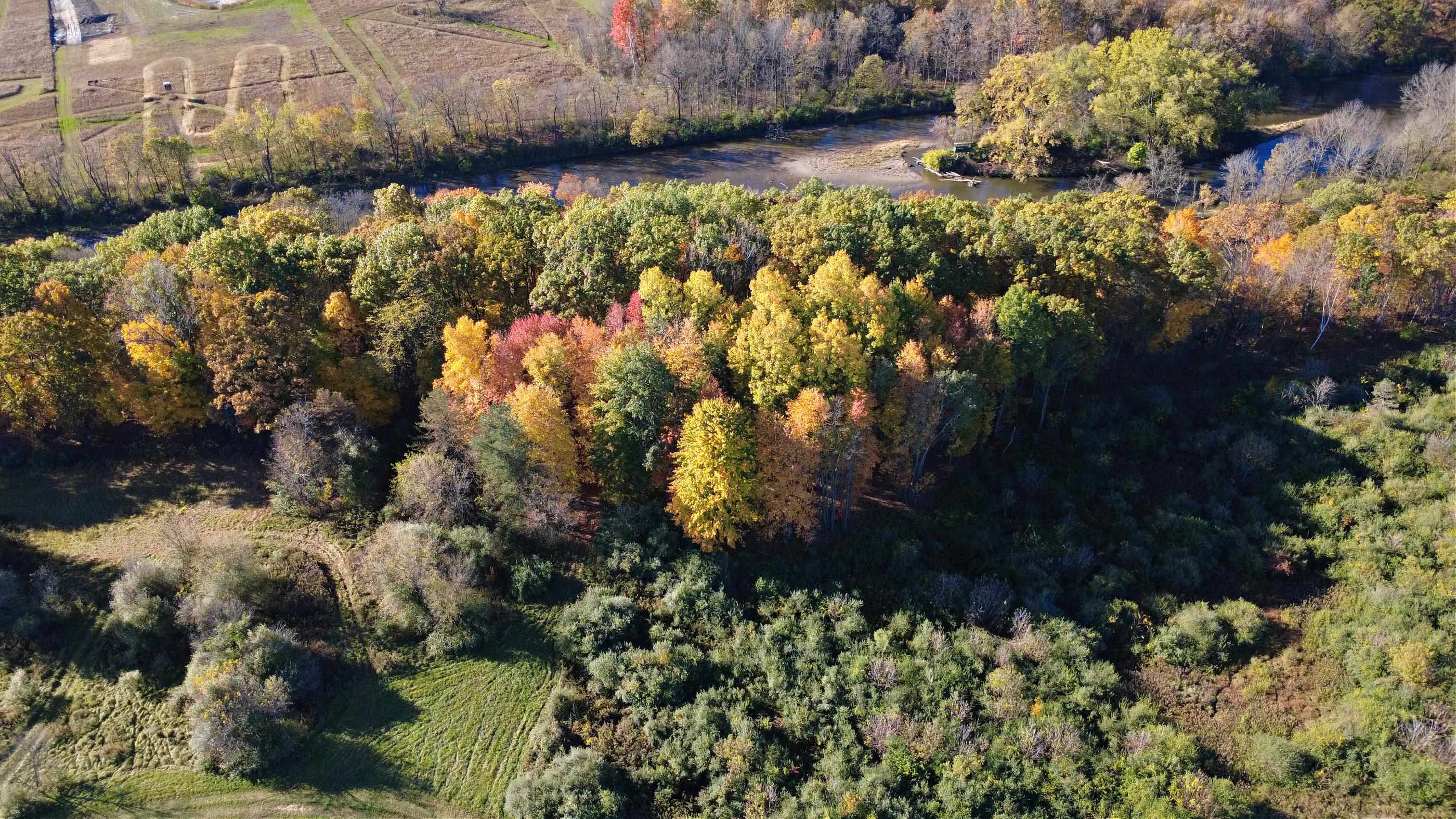10241 North McKinley Road Montrose, MI 48457 - Photo 14 of 38