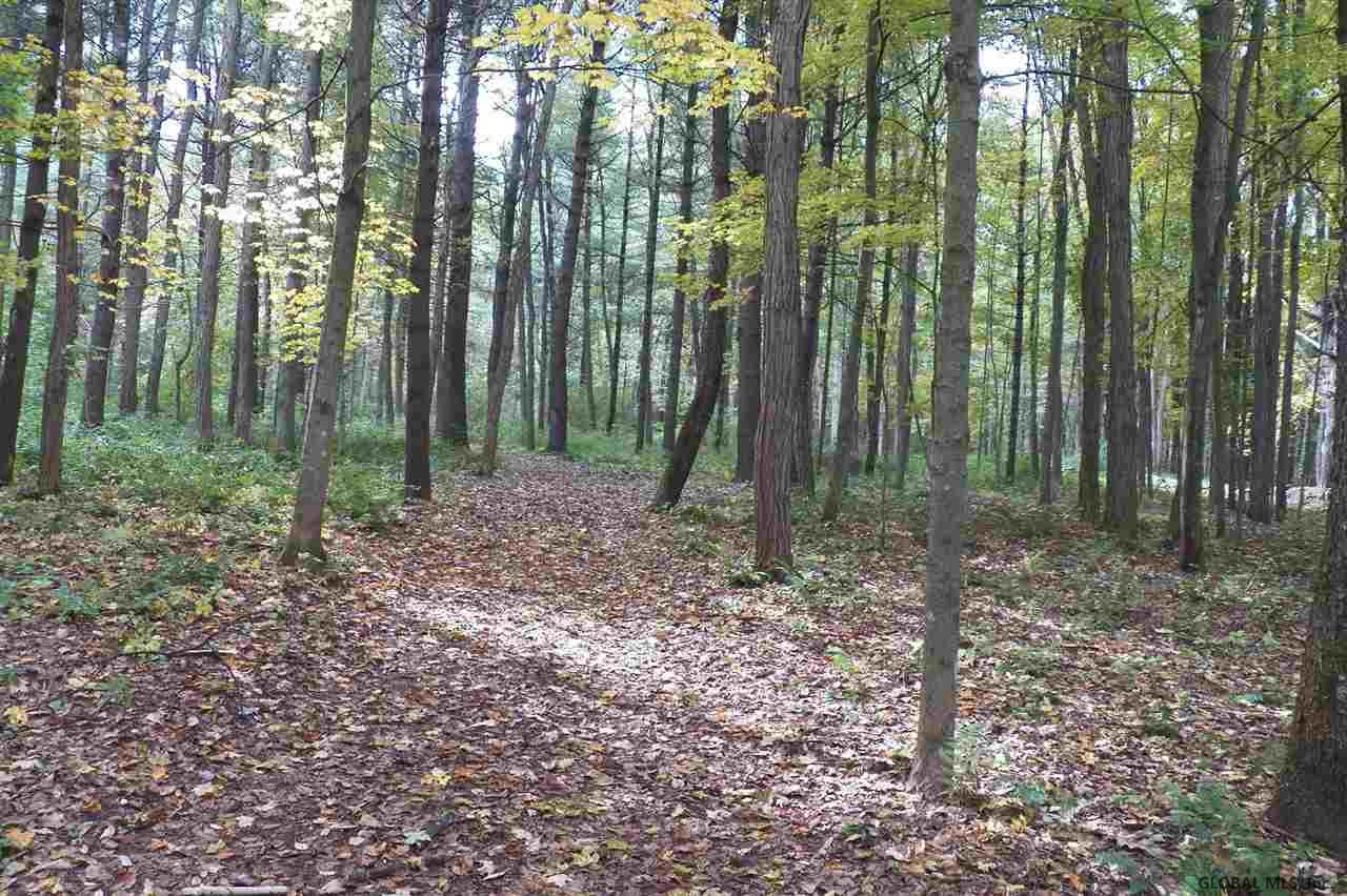 Lot#6 Butler Road Sprakers, NY 12166 - Photo 3 of 7 Photo 3