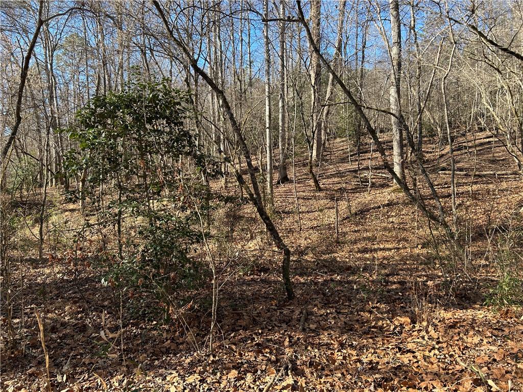 0 Twin River Orchard Road Demorest, GA 30535 - Photo 13 of 63