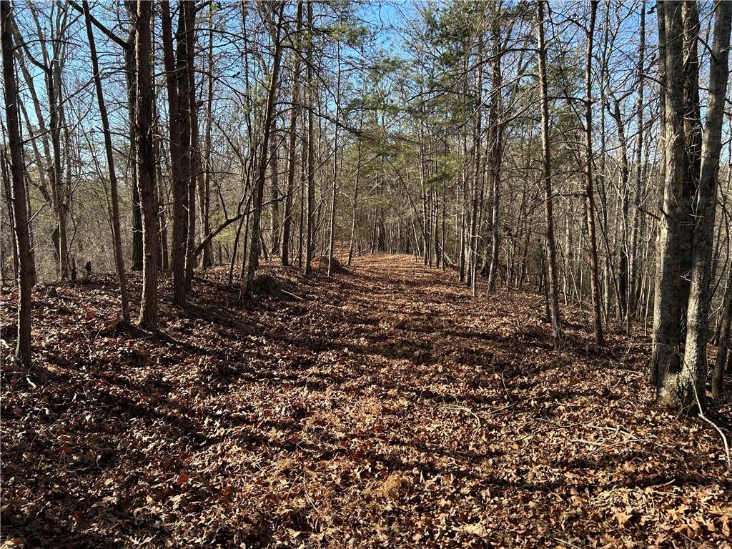 0 Twin River Orchard Road Demorest, GA 30535 - Photo 2 of 63 a big yard with lots of green space