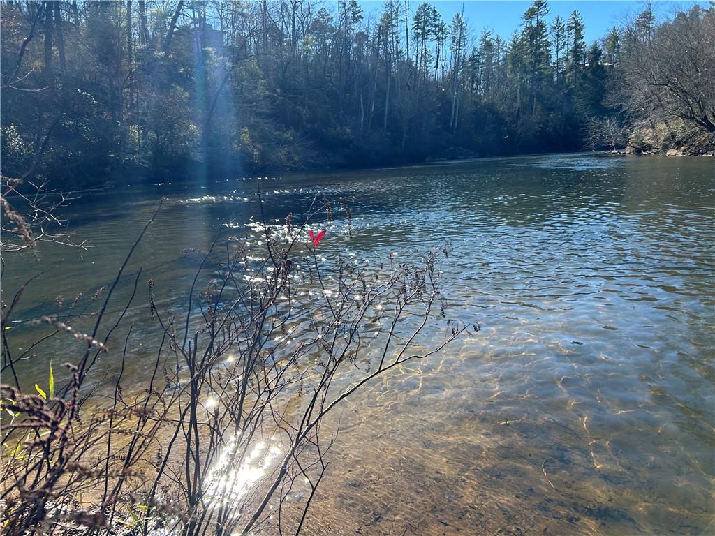 0 Twin River Orchard Road Demorest, GA 30535 - Photo 27 of 63