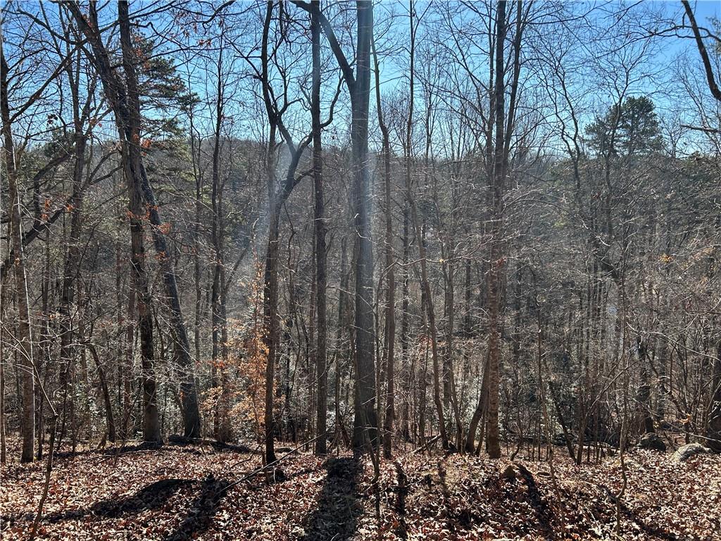 0 Twin River Orchard Road Demorest, GA 30535 - Photo 3 of 63 a view of a forest with large trees