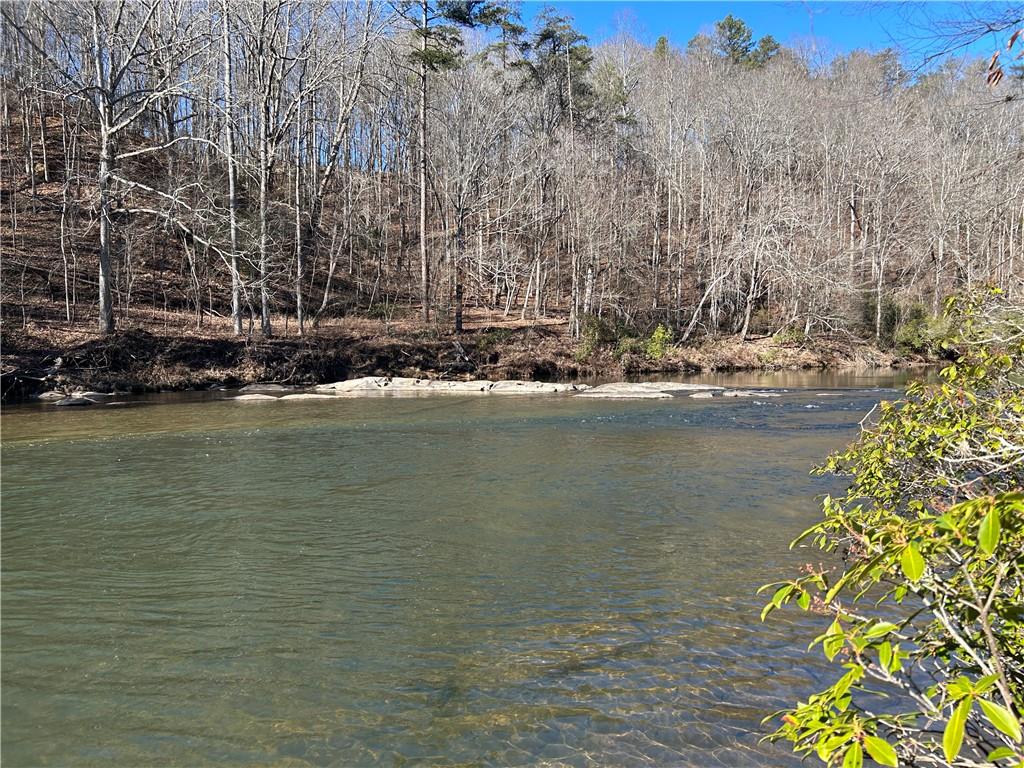 0 Twin River Orchard Road Demorest, GA 30535 - Photo 45 of 63 a view of ocean with trees