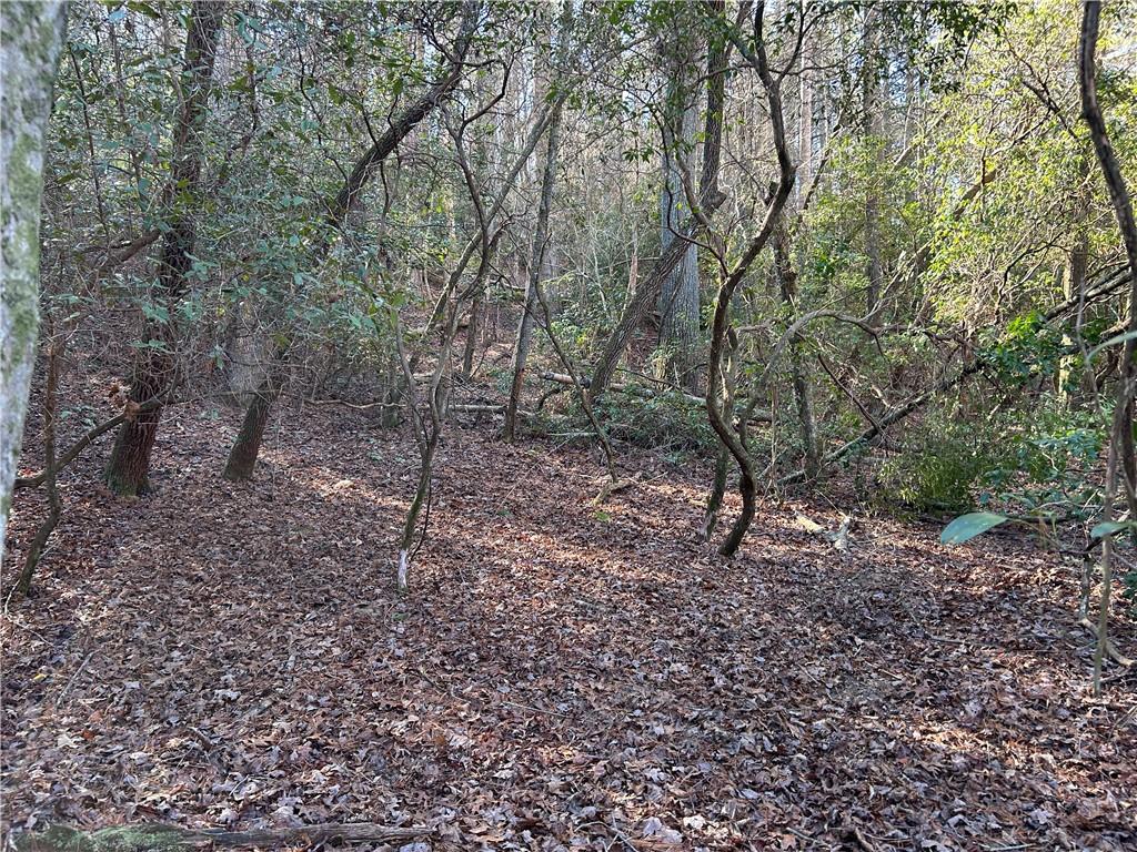 0 Twin River Orchard Road Demorest, GA 30535 - Photo 50 of 63 a view of a forest with trees