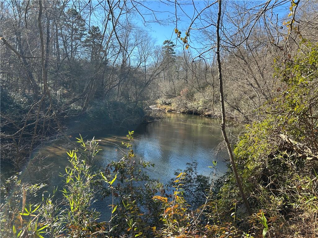 0 Twin River Orchard Road Demorest, GA 30535 - Photo 6 of 63 a view of a lake with a tree