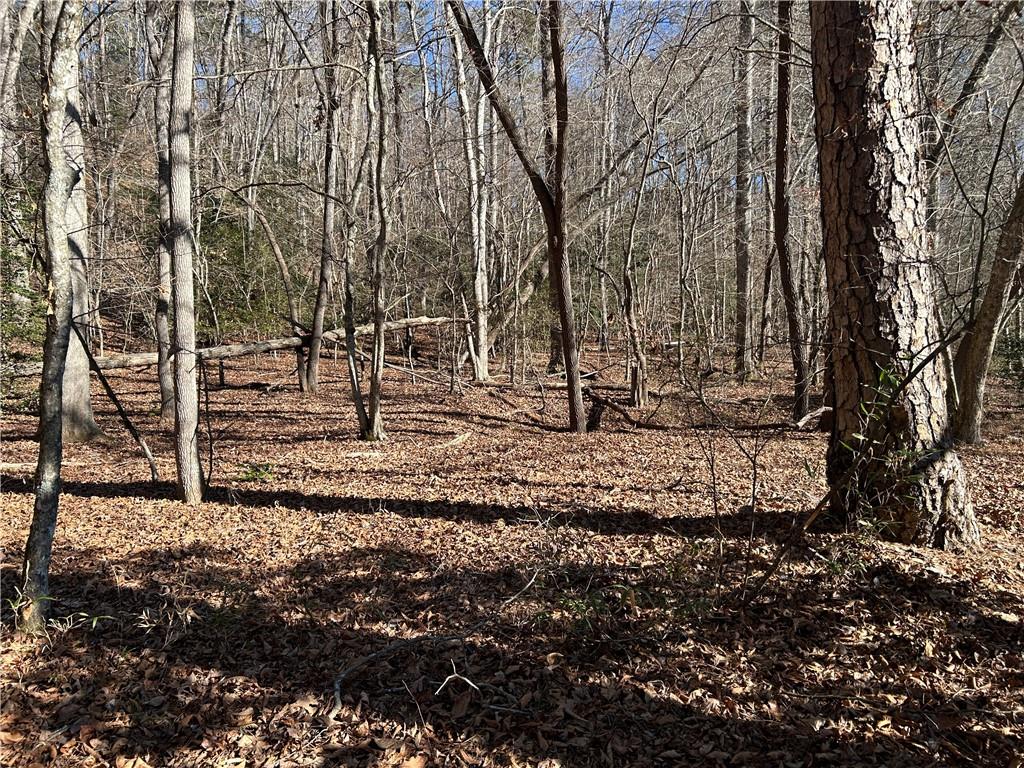 0 Twin River Orchard Road Demorest, GA 30535 - Photo 7 of 63