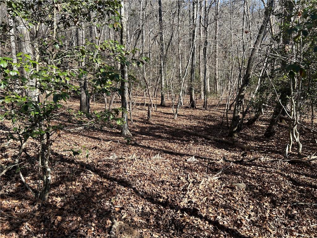 0 Twin River Orchard Road Demorest, GA 30535 - Photo 10 of 63 a view of a yard with a tree