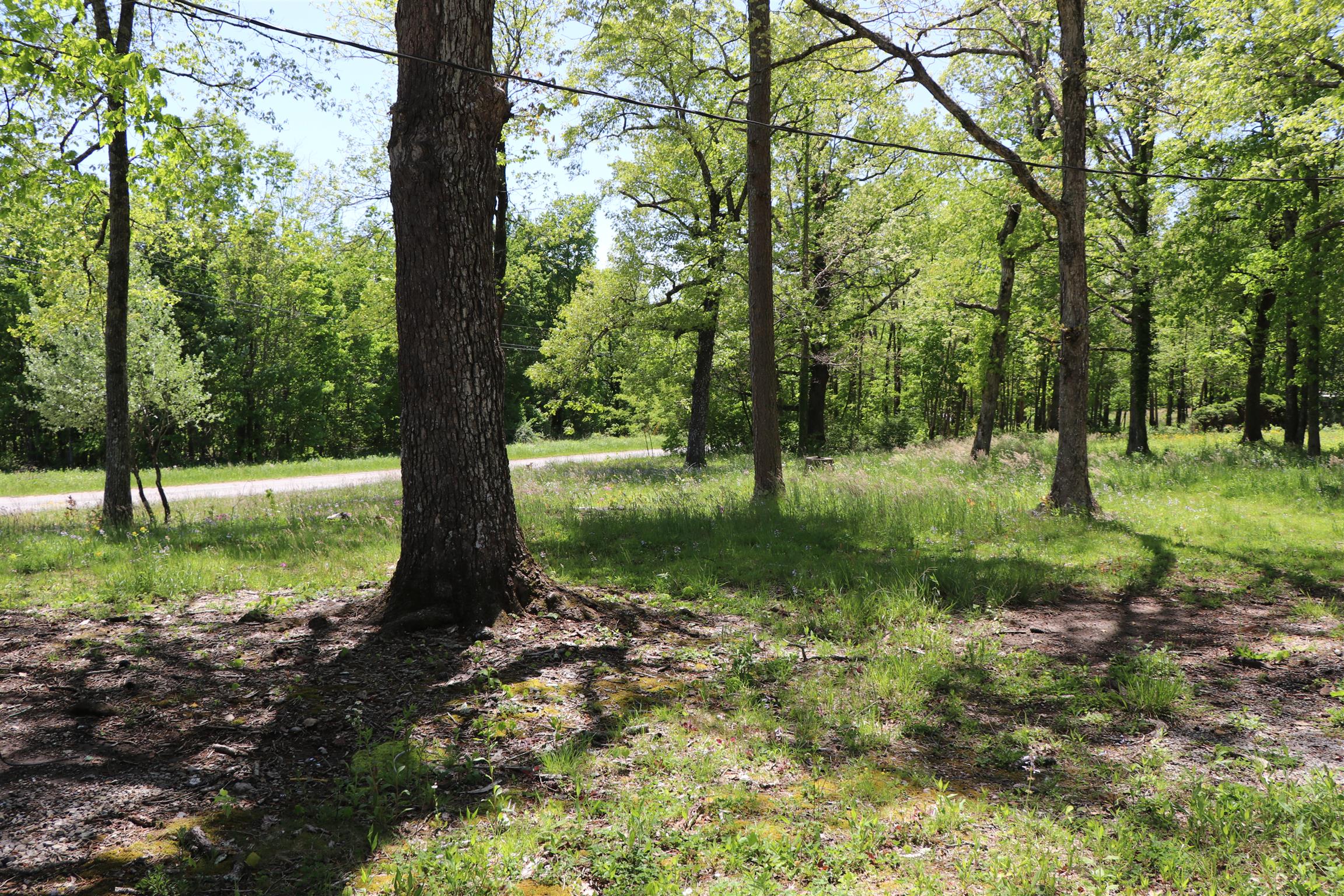 0 Palmer Firetower Road Palmer, TN 37365 - Photo 3 of 10 Gallery Image 3