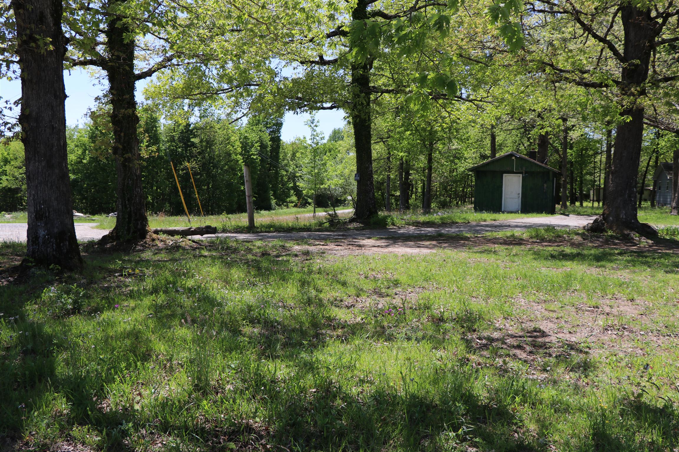 0 Palmer Firetower Road Palmer, TN 37365 - Photo 4 of 10 Gallery Image 4