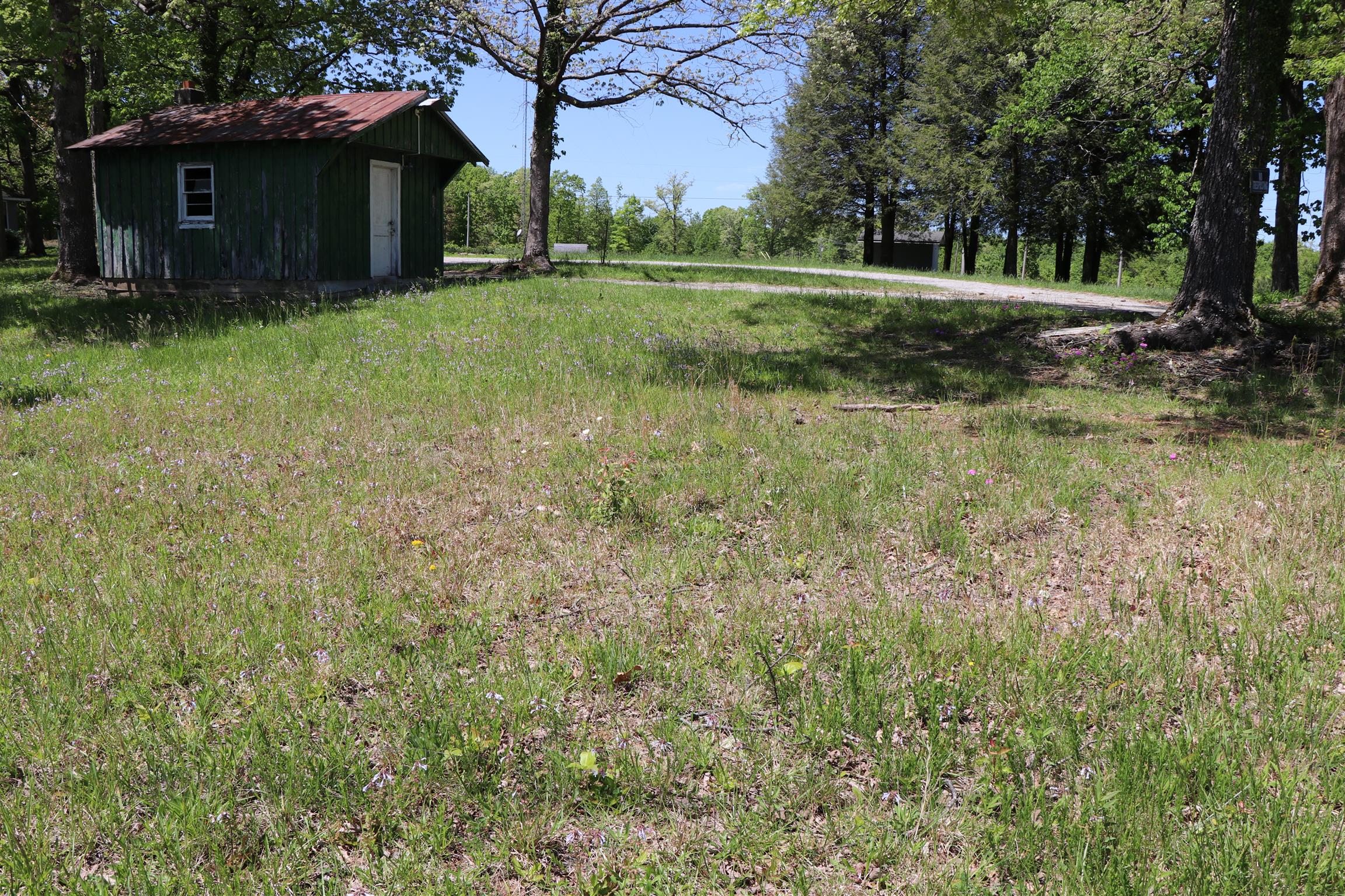0 Palmer Firetower Road Palmer, TN 37365 - Photo 5 of 10 Gallery Image 5
