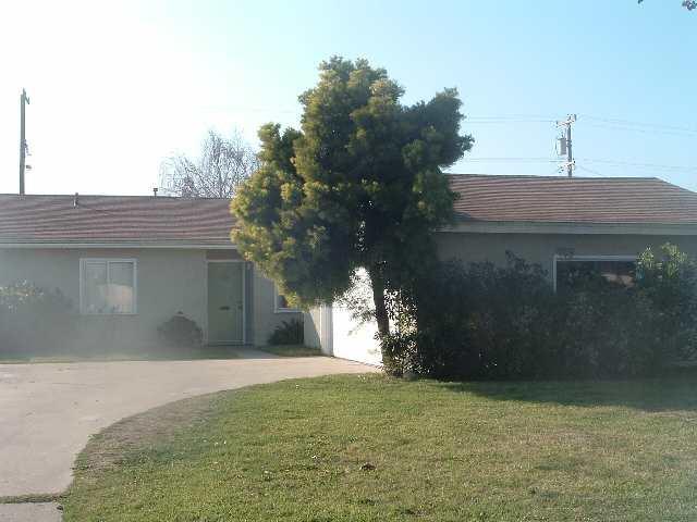 Primary Photo