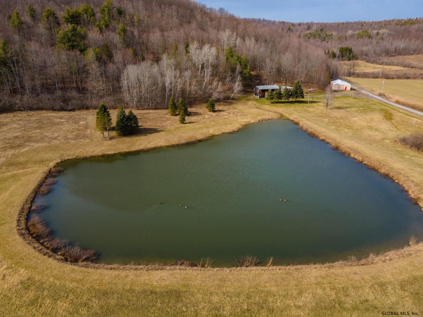 145 Coss Hollow Road Cobleskill, NY 12043 - Photo 6 of 43 Photo 6