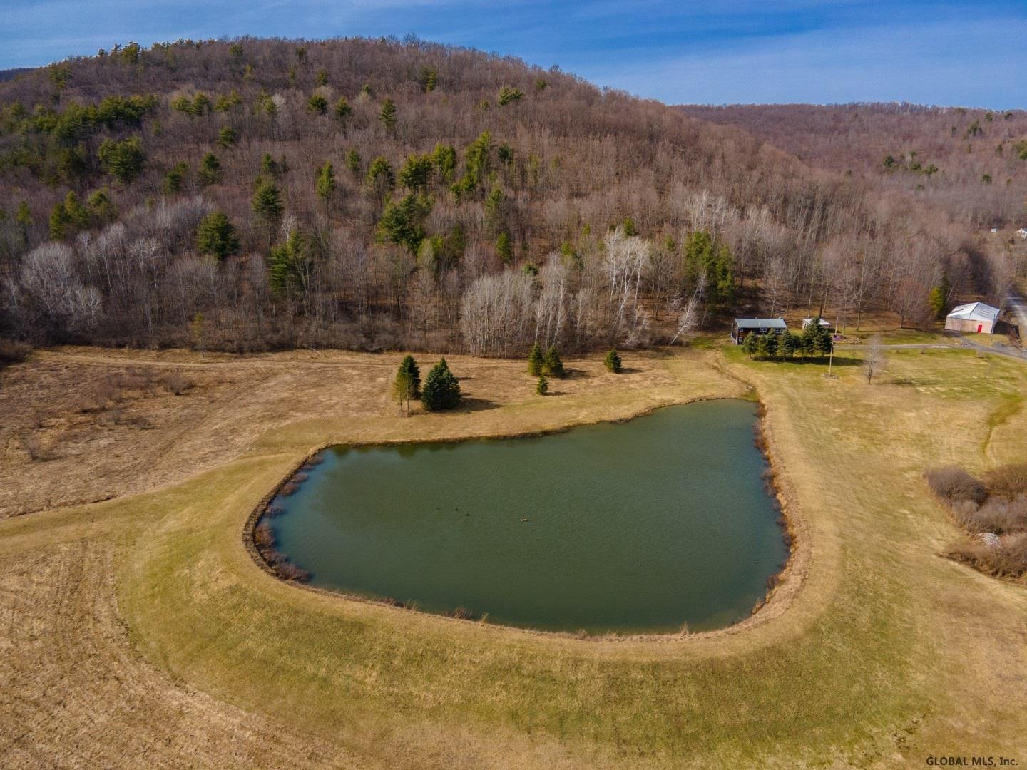 145 Coss Hollow Road Cobleskill, NY 12043 - Photo 8 of 43 Photo 8