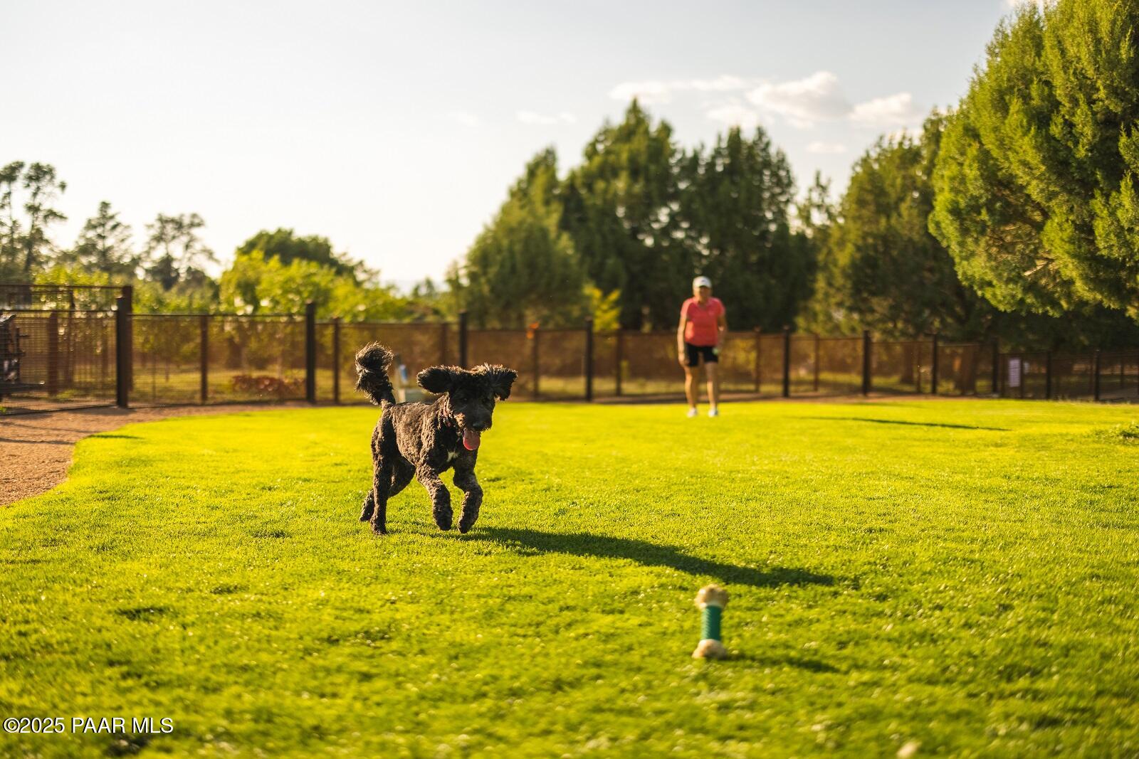 4500 West Sterling Ranch Road Prescott, AZ 86305 - Photo 34 of 37 15 Jakes Dog Park