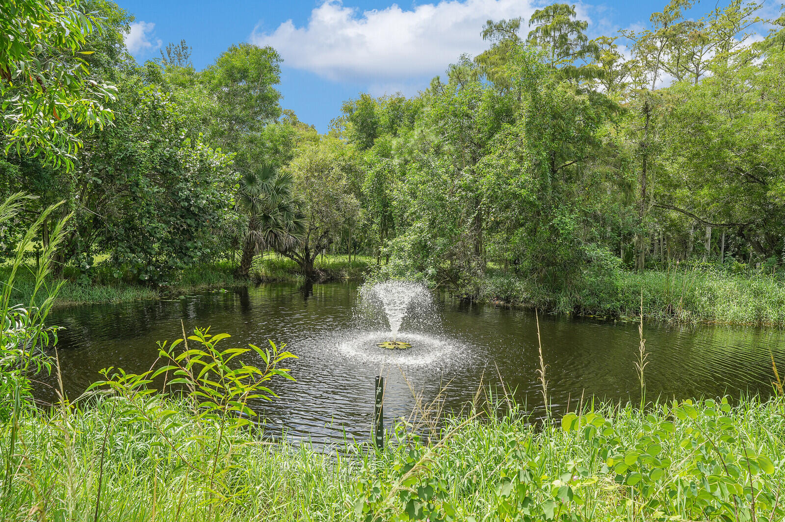 2660 F Road Loxahatchee Groves, FL 33470 - Photo 34 of 45 43_Image_43_mls