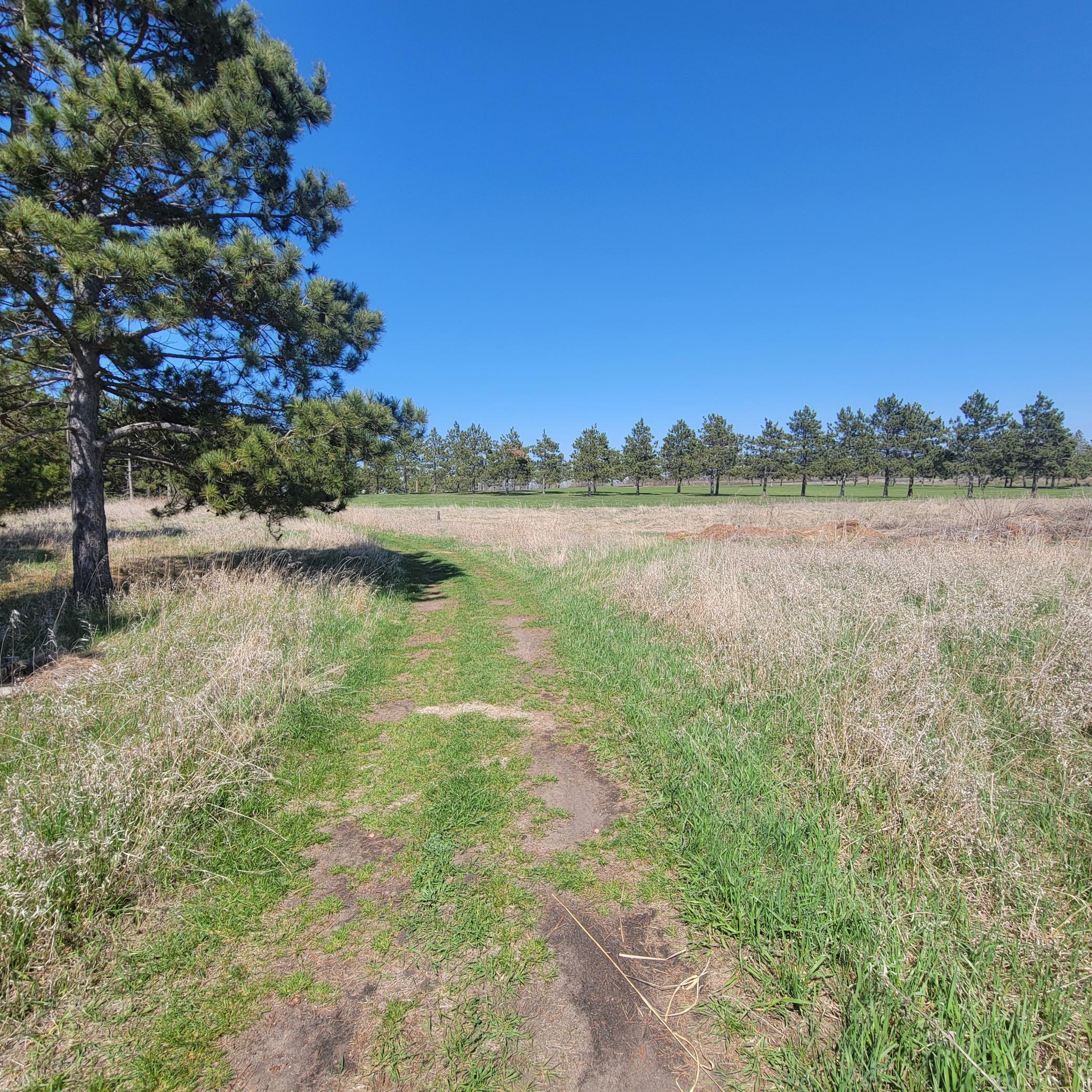 510 Thumper Lodge Road Ottertail, MN 56571 - Photo 6 of 13