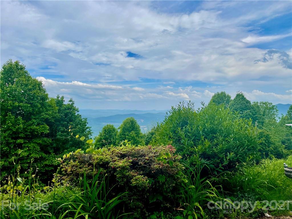 73 Lucerne Strasse Road Marion, NC 28752 - Photo 29 of 29 Gallery Image 29