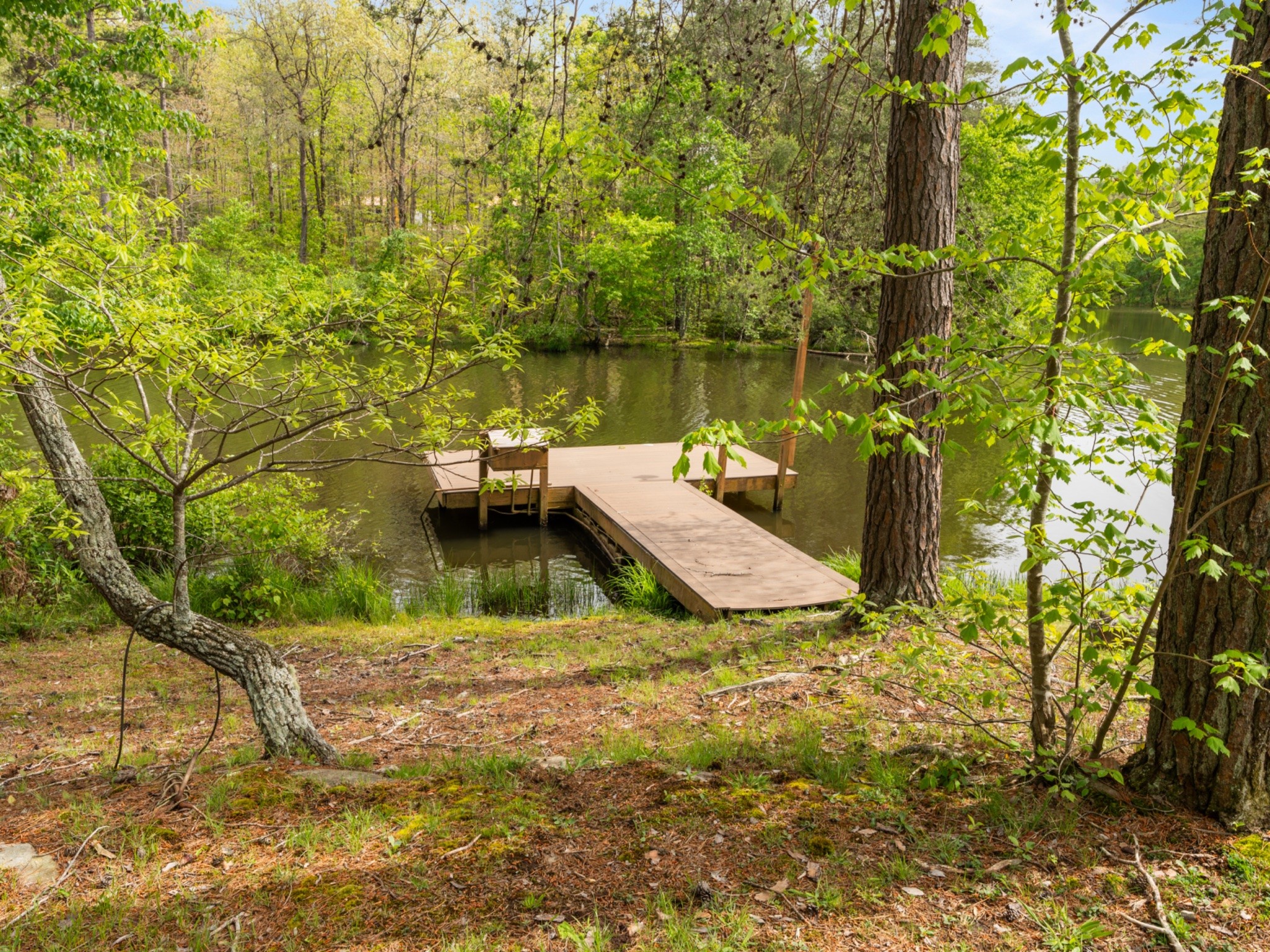 374 Eagle Lake Road Coalmont, TN 37313 - Photo 31 of 47