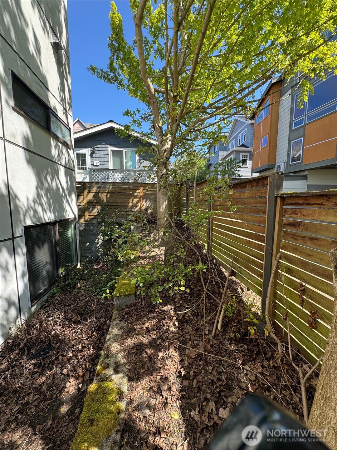 7814 Stroud Avenue North Seattle, WA 98103 - Photo 16 of 17