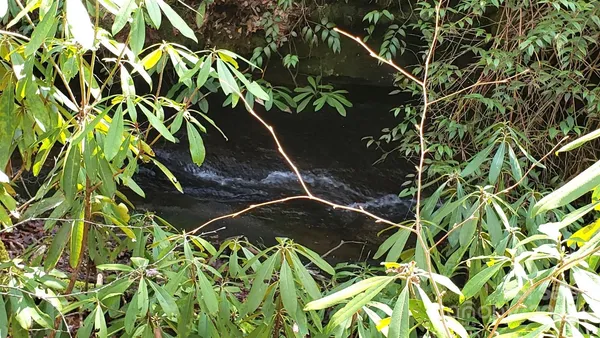 $59,000 | 9999 Poplar Street, Unit 505 506 507, Brevard, NC 28712