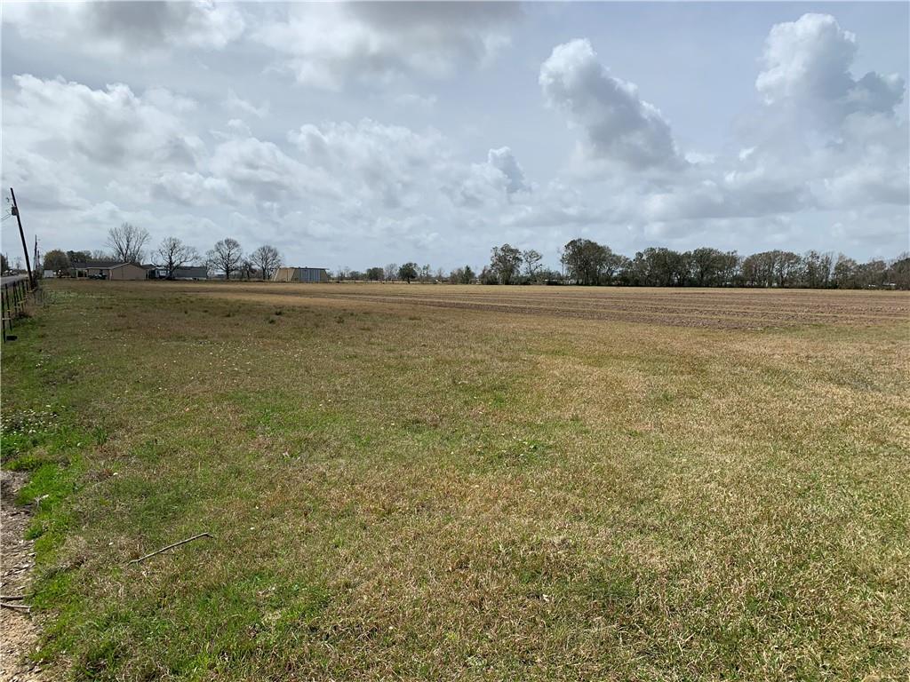 0 Crochet Road Hayes, LA 70646 - Photo 4 of 7