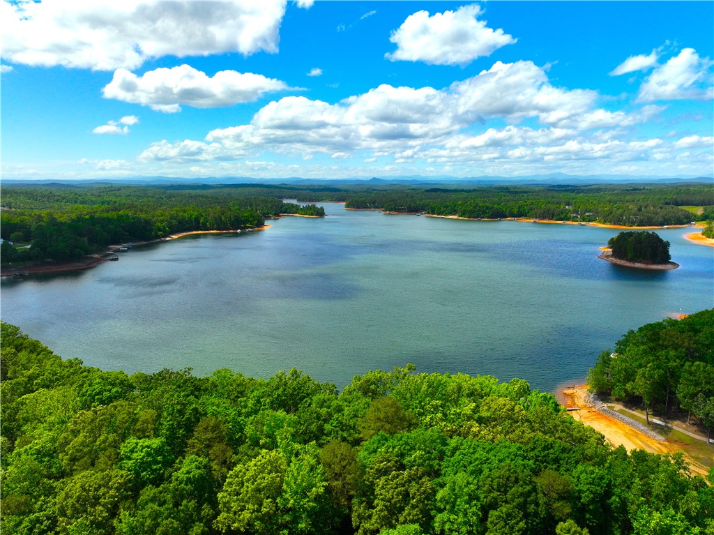 312 Bertha Allen Road Westminster, SC 29693 - Photo 11 of 19