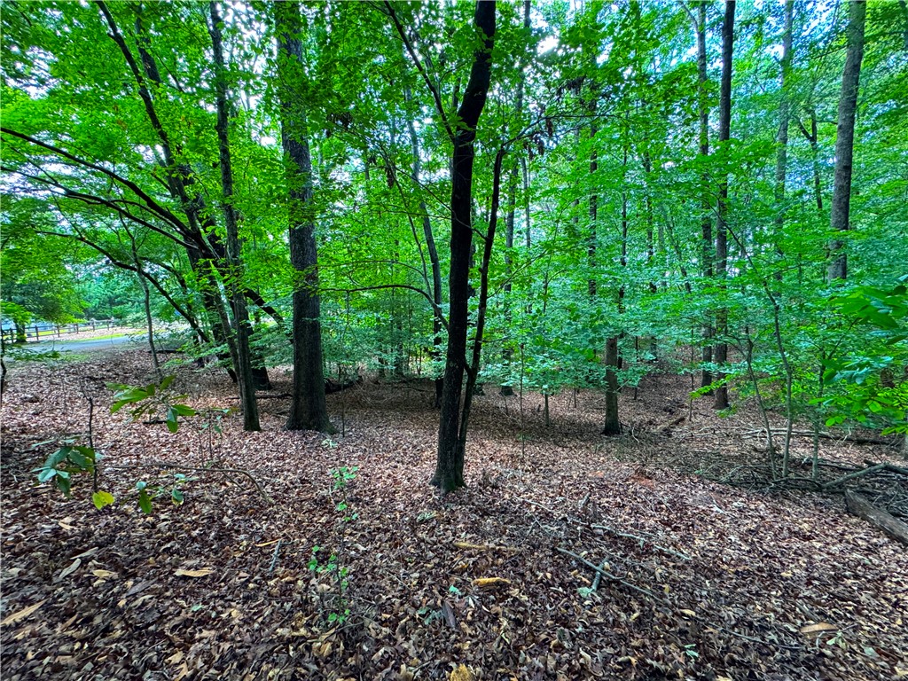 312 Bertha Allen Road Westminster, SC 29693 - Photo 14 of 19