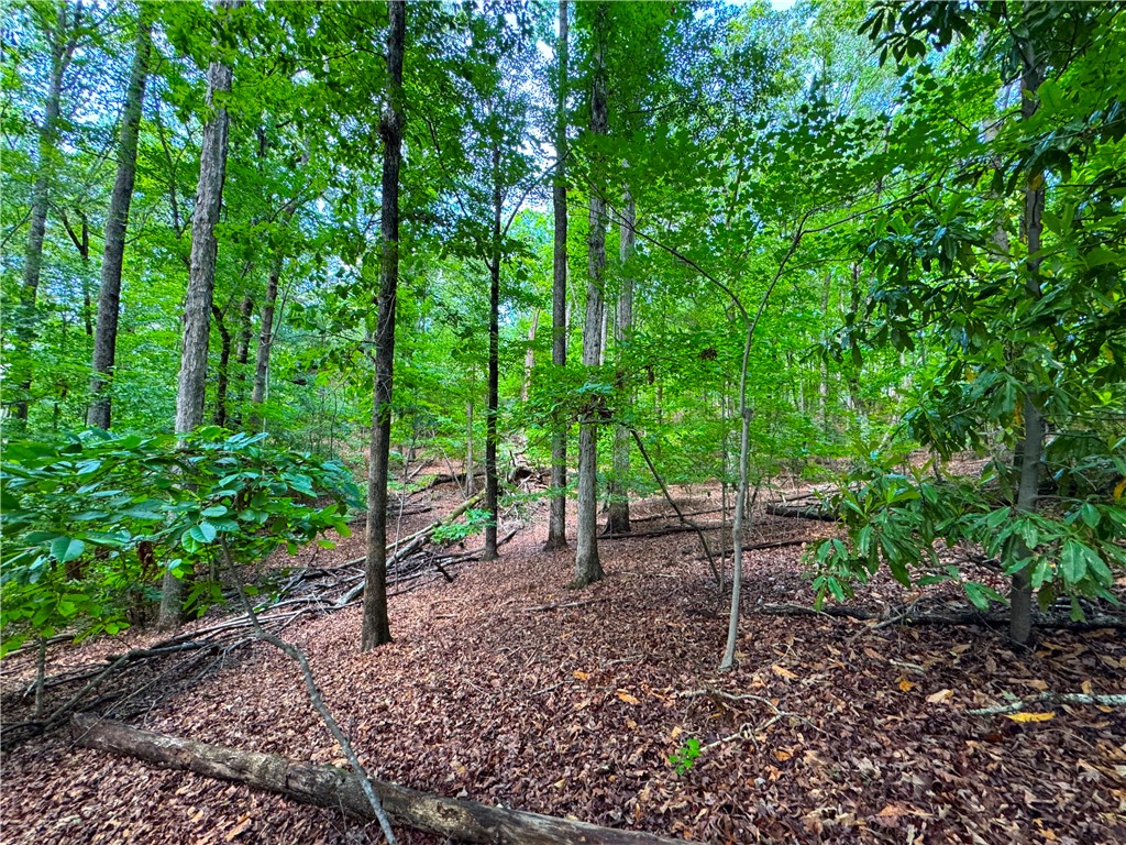 312 Bertha Allen Road Westminster, SC 29693 - Photo 15 of 19