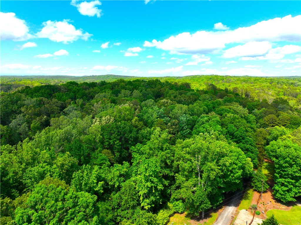312 Bertha Allen Road Westminster, SC 29693 - Photo 10 of 19